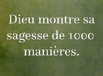 Dieu montre sa sagesse de mille manières