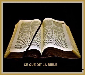 ce que la Bible dit et ce qu’elle ne veut pas dire clairement