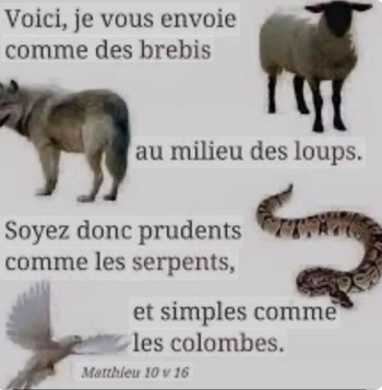 Image représentant les 4 animaux dont Jésus parle