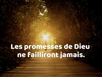 une personne marche en direction de la Lumière