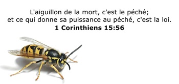 une abeille et son aiguillon