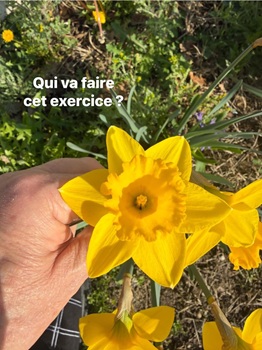 le coeur d'une fleur