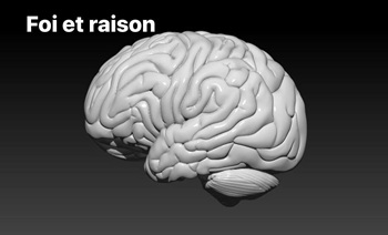 un cerveau